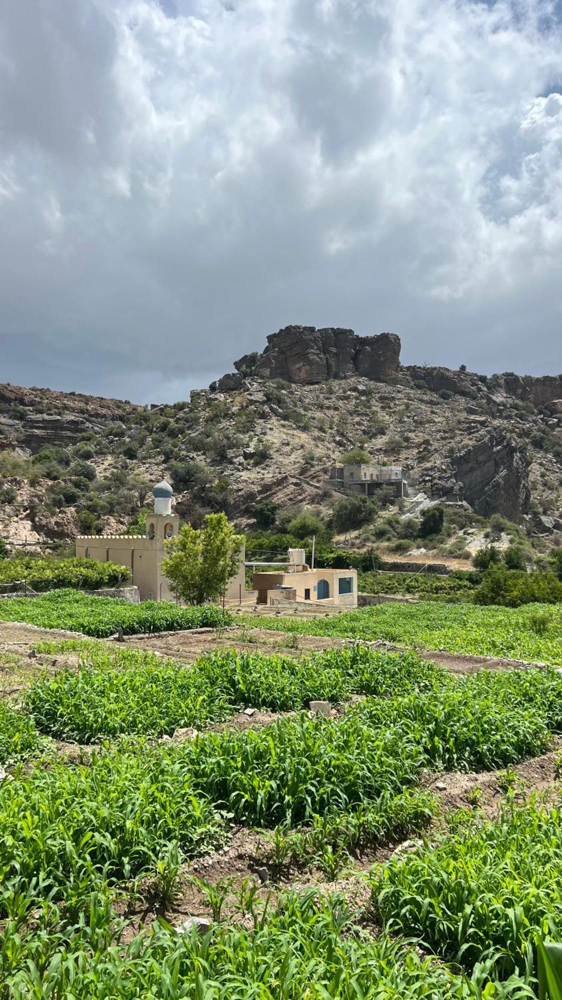 The Suwgra-Al-Jabal Al-Akdar Hotel Sūkirah Buitenkant foto