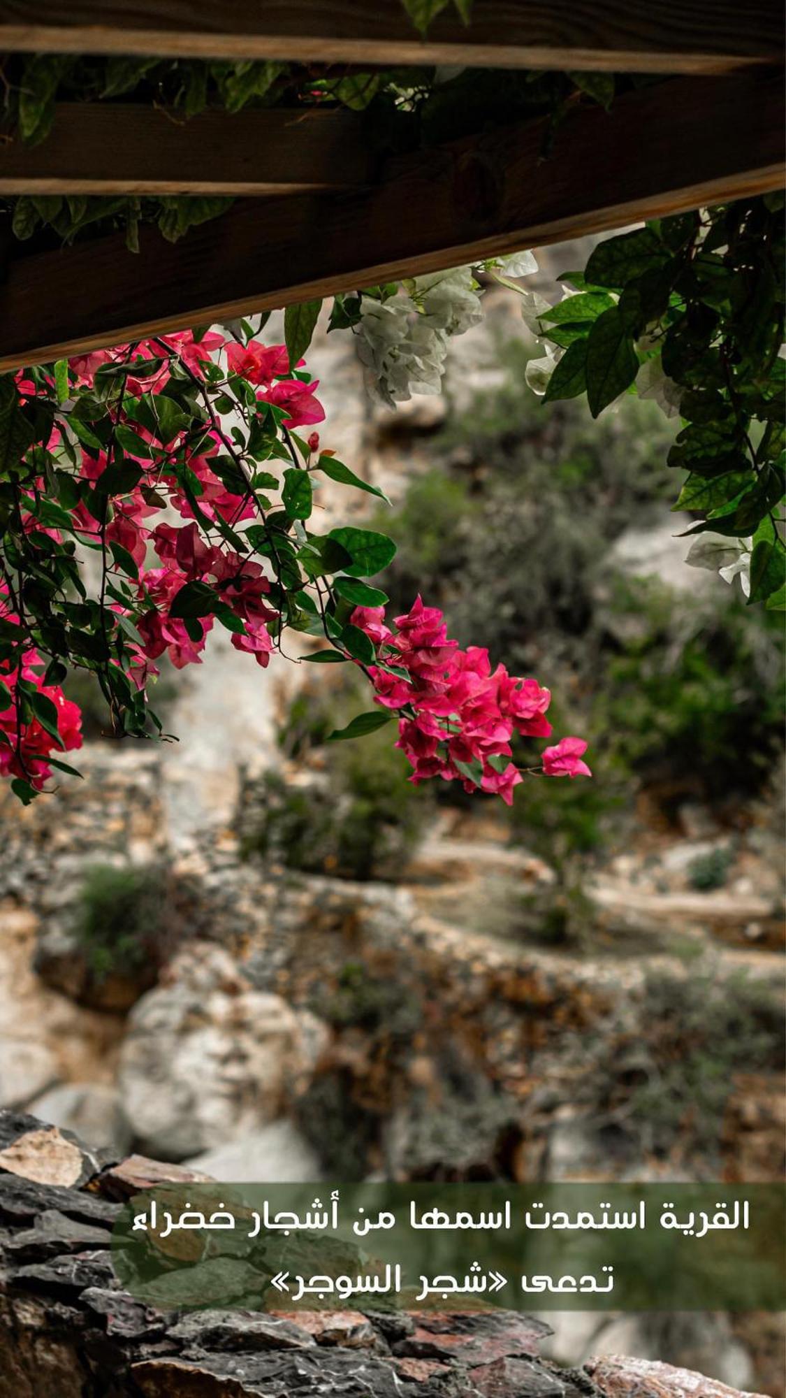 The Suwgra-Al-Jabal Al-Akdar Hotel Sūkirah Buitenkant foto